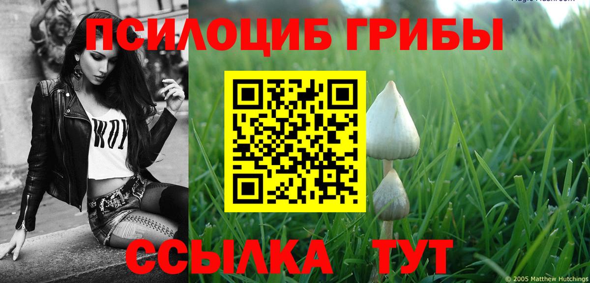 Псилоцибиновые грибы ЛСД Знаменск